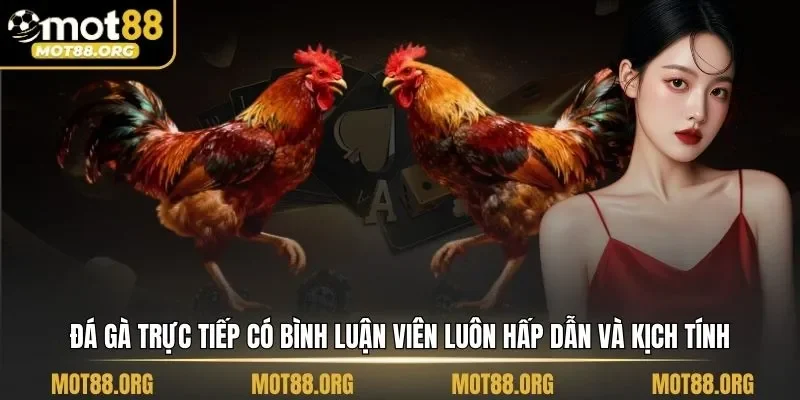 đá gà trực tiếp